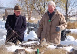 Planting shamrocks in the cold, hard ground.